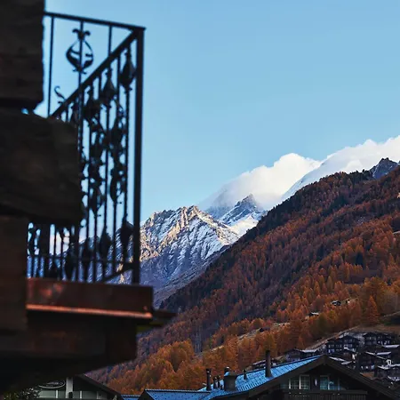 Schloss - Cbd & Adaptogenic And Sport 4*